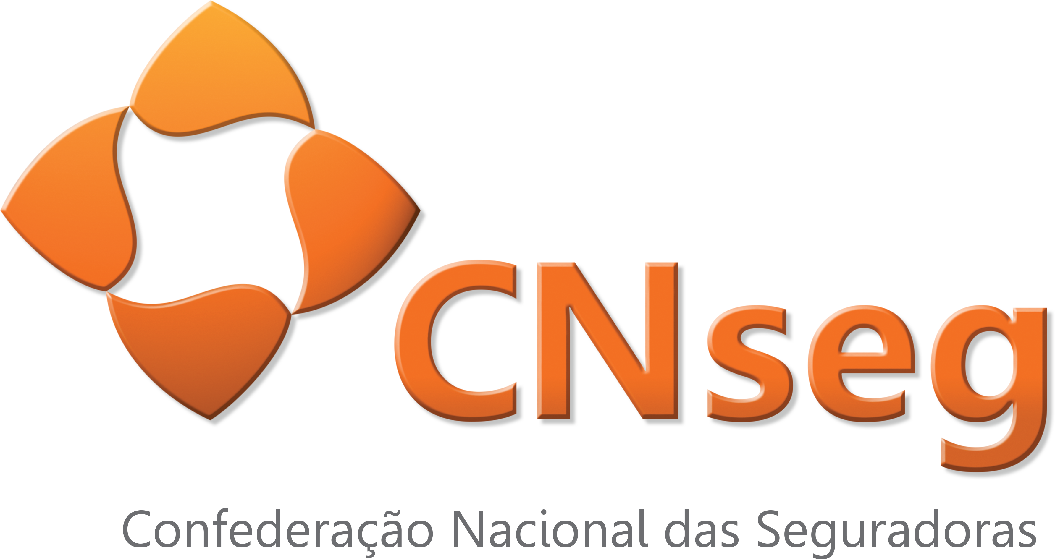 CNseg